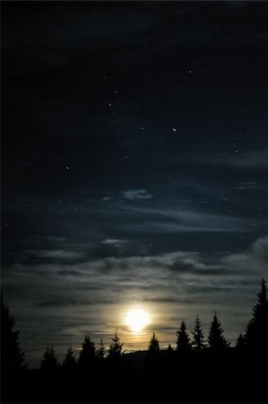 Moon cloudy shining above the dark forest Stock Photo - Budget Royalty-Free & Subscription, Code: 400-05878205