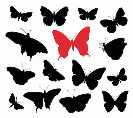 Butterfly silhouettes collection isolated in white background. Stock Photo - Budget Royalty-Free & Subscription, Code: 400-05885804