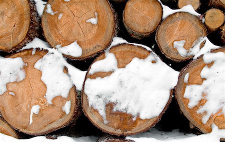 simsearch:600-03178788,k - Snow log stack lumber in winter with snow Stock Photo - Budget Royalty-Free & Subscription, Code: 400-05881323