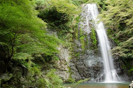 Water fall at the Mino Quasi National Park in Japan with green maple tree Stock Photo - Budget Royalty-Free & Subscription, Code: 400-05883269