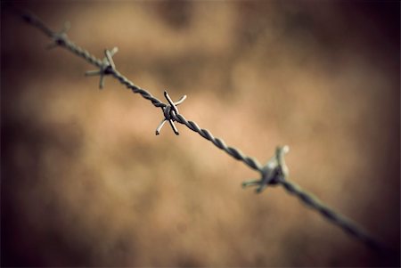 Close up of barbed wire with vintage look Stock Photo - Budget Royalty-Free & Subscription, Code: 400-05895793