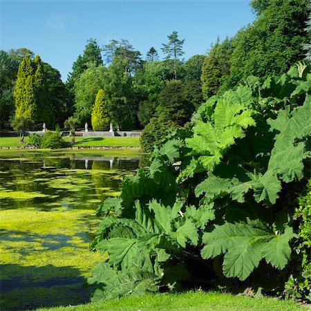 simsearch:400-05387304,k - Johnstown Castle Gardens, County Wexford, Ireland Stock Photo - Budget Royalty-Free & Subscription, Code: 400-05899189