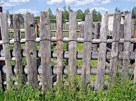 rotting vegetables - old wooden fence Stock Photo - Budget Royalty-Free & Subscription, Code: 400-05890100