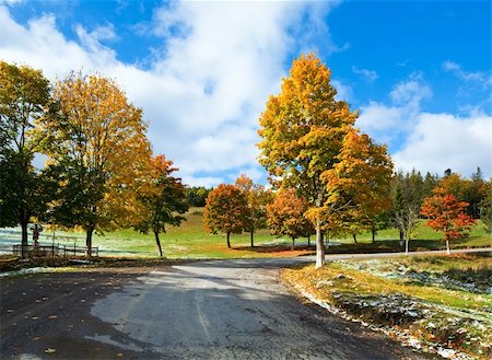 First winter snow and autumn colorful foliage near mountain secondary road (Carpathian, Ukraine) Stock Photo - Budget Royalty-Free & Subscription, Code: 400-05904332