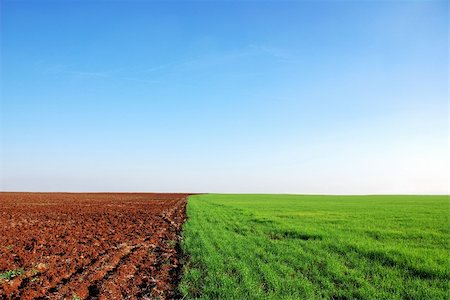 simsearch:400-04794343,k - plowed and green field background Stock Photo - Budget Royalty-Free & Subscription, Code: 400-05906299