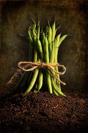 simsearch:400-05744520,k - Fresh green beans tied  with cord against grunge background Stock Photo - Budget Royalty-Free & Subscription, Code: 400-05907125