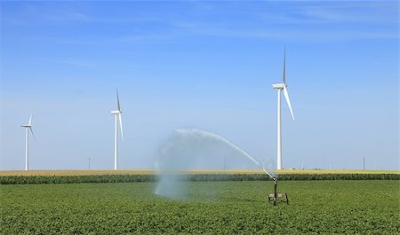 simsearch:400-05319608,k - Image of wind turbines and water sprinkler in a green field. Stock Photo - Budget Royalty-Free & Subscription, Code: 400-05909219