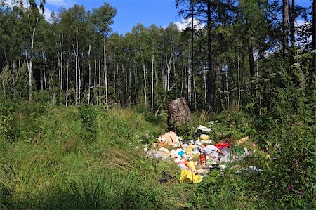 photos of vegetable garbage - garbage pit in wood Stock Photo - Budget Royalty-Free & Subscription, Code: 400-05901229