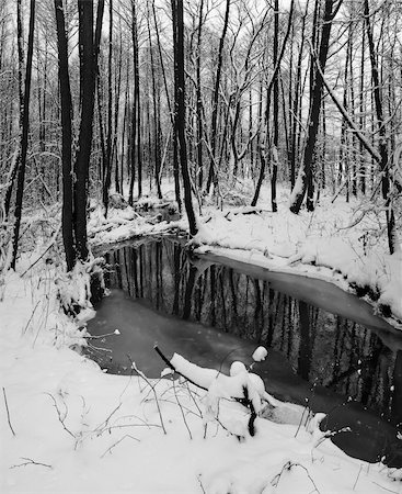 rivulet - Winter landscape with small river. Stock Photo - Budget Royalty-Free & Subscription, Code: 400-05901709