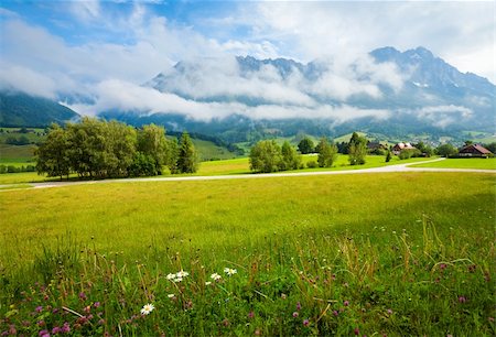 simsearch:400-05135647,k - Alps mountain meadow tranquil summer view Stock Photo - Budget Royalty-Free & Subscription, Code: 400-05903980