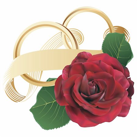 Golden wedding rings with ribbon and red rose - fully editable vectors Photographie de stock - Aubaine LD & Abonnement, Code: 400-05914102