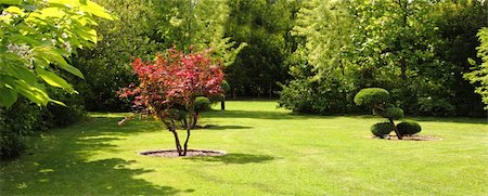 stream in garden - nice spring park with color trees and sun Stock Photo - Budget Royalty-Free & Subscription, Code: 400-05915347