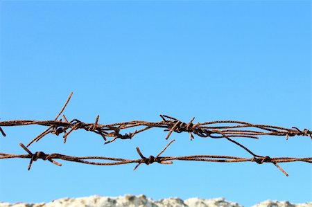 refugee - Barbed wire close-up Stock Photo - Budget Royalty-Free & Subscription, Code: 400-05910109