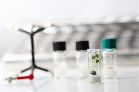 Small plants growing in glass test tubes on a bio-technology research facility Stock Photo - Budget Royalty-Free & Subscription, Code: 400-05911424