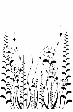 simsearch:400-04411448,k - vector flower pattern isolete on a white background Stock Photo - Budget Royalty-Free & Subscription, Code: 400-05911659
