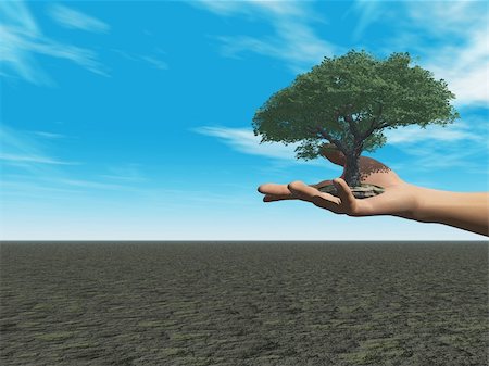 future of the desert - human hand with tree - 3d illustration Stock Photo - Budget Royalty-Free & Subscription, Code: 400-05926878