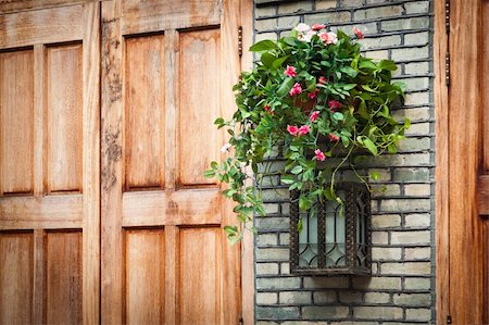 simsearch:400-07054392,k - House decoration - Hanging houseplant basket and old style lamp Photographie de stock - Aubaine LD & Abonnement, Code: 400-05928831