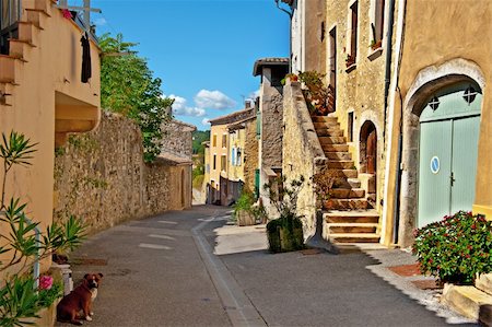 simsearch:400-04375112,k - The Dog on a Deserted Street of the French City of Rochemaure Stock Photo - Budget Royalty-Free & Subscription, Code: 400-06065433