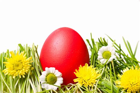 pysanka - Red Easter egg on green grass. Image isolated on white background Stock Photo - Budget Royalty-Free & Subscription, Code: 400-06066716