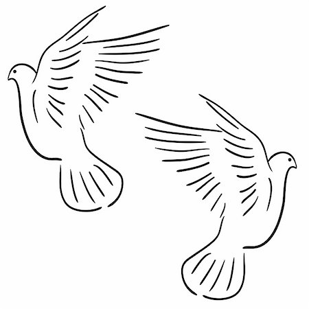 flying bird image black white - Concept of love or peace. Set of white vector doves. Stock Photo - Budget Royalty-Free & Subscription, Code: 400-06066989
