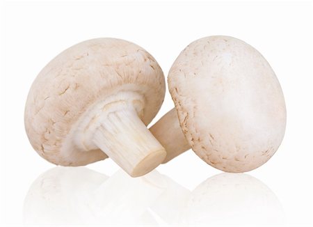 simsearch:400-04824992,k - Two fresh mushroom champignon isolated on white background Stock Photo - Budget Royalty-Free & Subscription, Code: 400-06063243