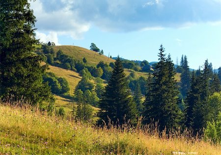 simsearch:400-05719580,k - Summer mountain landscape with flowering grassland in front Photographie de stock - Aubaine LD & Abonnement, Code: 400-06063989