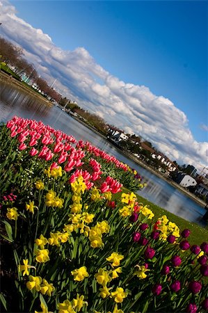 Legacy garden is in support of women Dragon-boaters fighting Cancer. The Garden is in Alder Bay on Granville Island in Vancouver British Columbia Canada Stock Photo - Budget Royalty-Free & Subscription, Code: 400-06074817