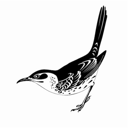 sparrow tattoo designs - thrush silhouette on white background, vector illustration Stock Photo - Budget Royalty-Free & Subscription, Code: 400-06075979