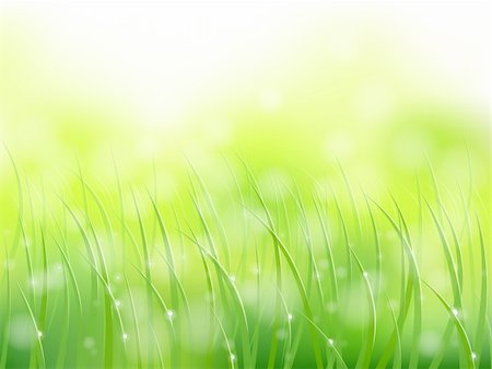 morning sunlight grass with early dew softfocus bokeh pattern eps10 Stock Photo - Budget Royalty-Free & Subscription, Code: 400-06076678