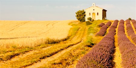 simsearch:400-05724401,k - chapel with lavender and grain fields, Plateau de Valensole, Provence, France Stock Photo - Budget Royalty-Free & Subscription, Code: 400-06071837