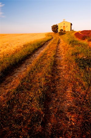 simsearch:400-05724401,k - chapel with grain field, Plateau de Valensole, Provence, France Stock Photo - Budget Royalty-Free & Subscription, Code: 400-06071839