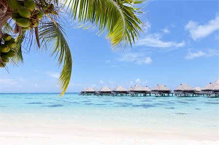 view from the beach at the overwater bungalows Stock Photo - Budget Royalty-Free & Subscription, Code: 400-06072253