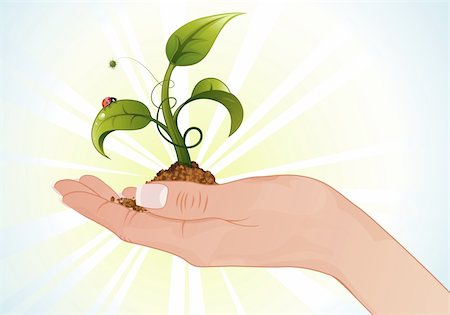 simsearch:400-06073227,k - Woman Hand with the Young Green Sprout from the Ground with Water Drops and Ladybug, vector illustration Stock Photo - Budget Royalty-Free & Subscription, Code: 400-06073222