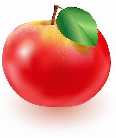 One fresh red apple with green leaf on white background. EPS-10 vector illustration. Contains gradient mesh and transparency. Stock Photo - Budget Royalty-Free & Subscription, Code: 400-06086512