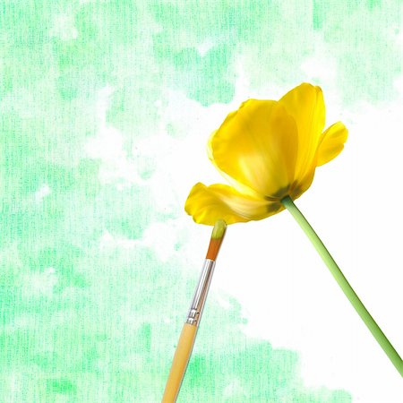 simsearch:400-05698489,k - brush paint yellow tulip Stock Photo - Budget Royalty-Free & Subscription, Code: 400-06086743