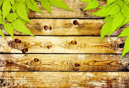 simsearch:400-06069768,k - Message of nature. Old wooden planks and green leaves Stock Photo - Budget Royalty-Free & Subscription, Code: 400-06086786