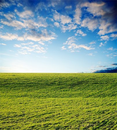 steppe - agricultural green field on sunset Stock Photo - Budget Royalty-Free & Subscription, Code: 400-06086987