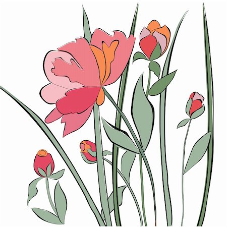 drawing of peonies - Decorative background with peony flower Stock Photo - Budget Royalty-Free & Subscription, Code: 400-06087123