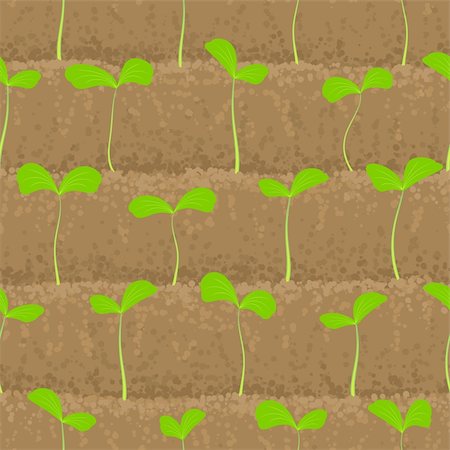 seed growing in soil - sprout, shoot vegetable patches in row seamless background Stock Photo - Budget Royalty-Free & Subscription, Code: 400-06098608