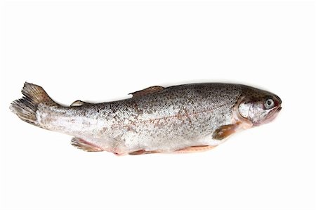trout fish isolated on the white background Stock Photo - Budget Royalty-Free & Subscription, Code: 400-06098734