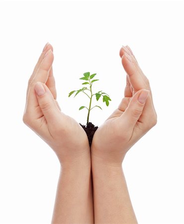 simsearch:649-06532928,k - Protecting life concept - woman hands shielding young seedling Stock Photo - Budget Royalty-Free & Subscription, Code: 400-06090531