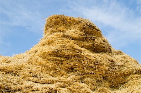 simsearch:400-04794343,k - stack of straw on a background blue sky with clouds Stock Photo - Budget Royalty-Free & Subscription, Code: 400-06091210