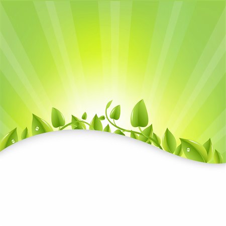 simsearch:700-02265197,k - Green Leaves With Sunburst  And Rays, Vector Illustration Stock Photo - Budget Royalty-Free & Subscription, Code: 400-06104031