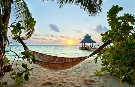 Empty hammock in the tropical beach in the Maldives at sunset Stock Photo - Budget Royalty-Free & Subscription, Code: 400-06104077