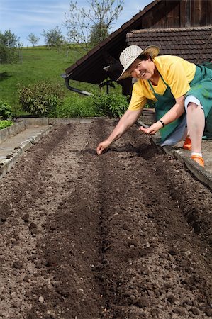 Photo of a retired woman in her sixties planting seeds in her garden. Stock Photo - Budget Royalty-Free & Subscription, Code: 400-06105923