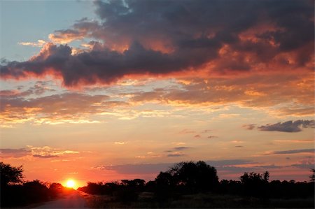 African sunset with trees and clouds Stock Photo - Budget Royalty-Free & Subscription, Code: 400-06106293