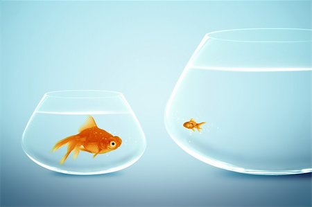 Big and small goldfish,conceptual image for diet, fat. Stock Photo - Budget Royalty-Free & Subscription, Code: 400-06106632