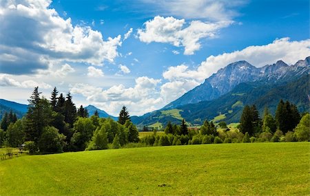 simsearch:400-05135647,k - Alps mountain meadow tranquil summer view (Austria, Gosau village outskirts) Stock Photo - Budget Royalty-Free & Subscription, Code: 400-06100347
