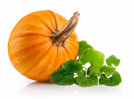 pumpkin fruit and his leafs - yellow pumpkin vegetable with green leaves isolated on white background Stock Photo - Budget Royalty-Free & Subscription, Code: 400-06101617