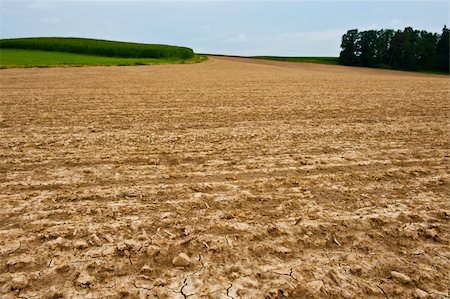 Freshly Plowed Field In Spring Ready For Cultivation Stock Photo - Budget Royalty-Free & Subscription, Code: 400-06101812